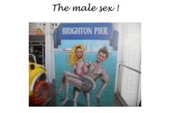 BRIGHTON PDF_024